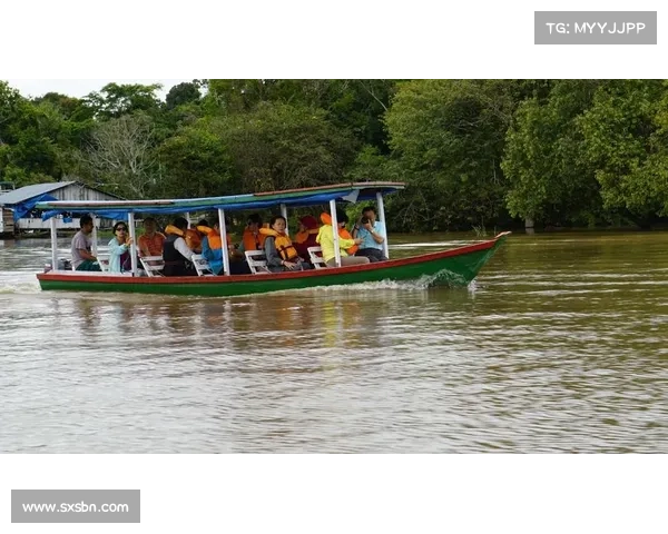 巴西队成功卫冕热带雨林探险挑战赛展现无与伦比的勇气与智慧 巴西队成功卫冕热带雨林探险挑战赛展现无与伦比的勇气与智慧